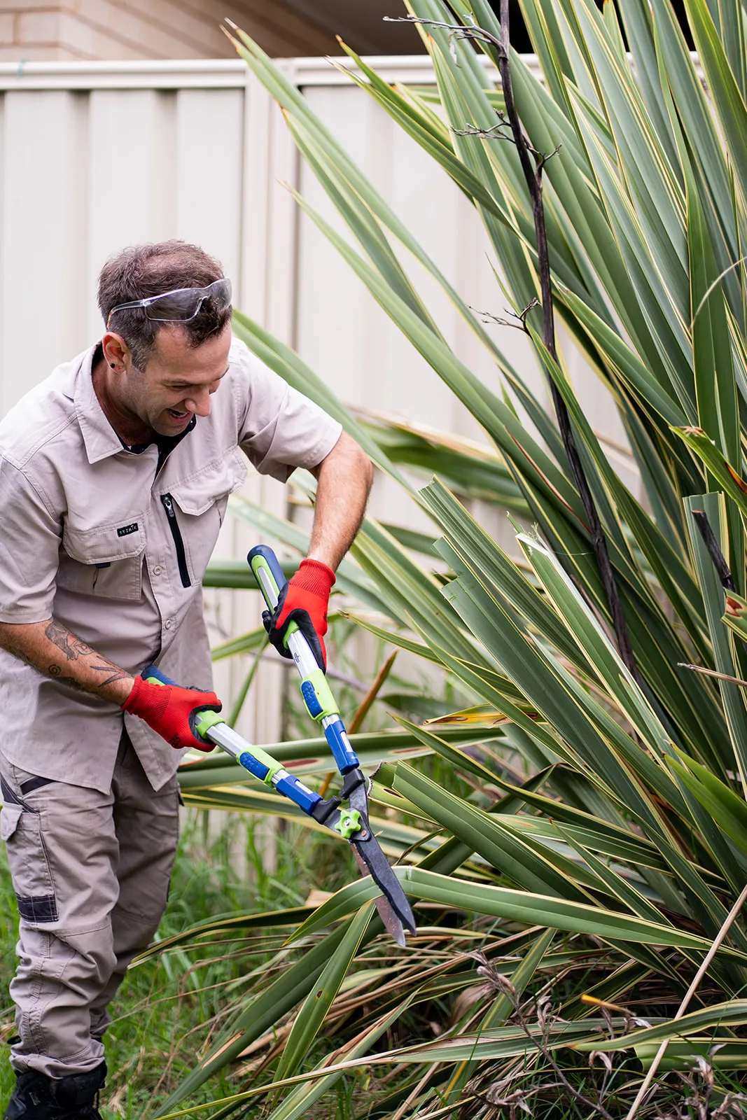 Garden business owner at work with an expressive moment mid-prune