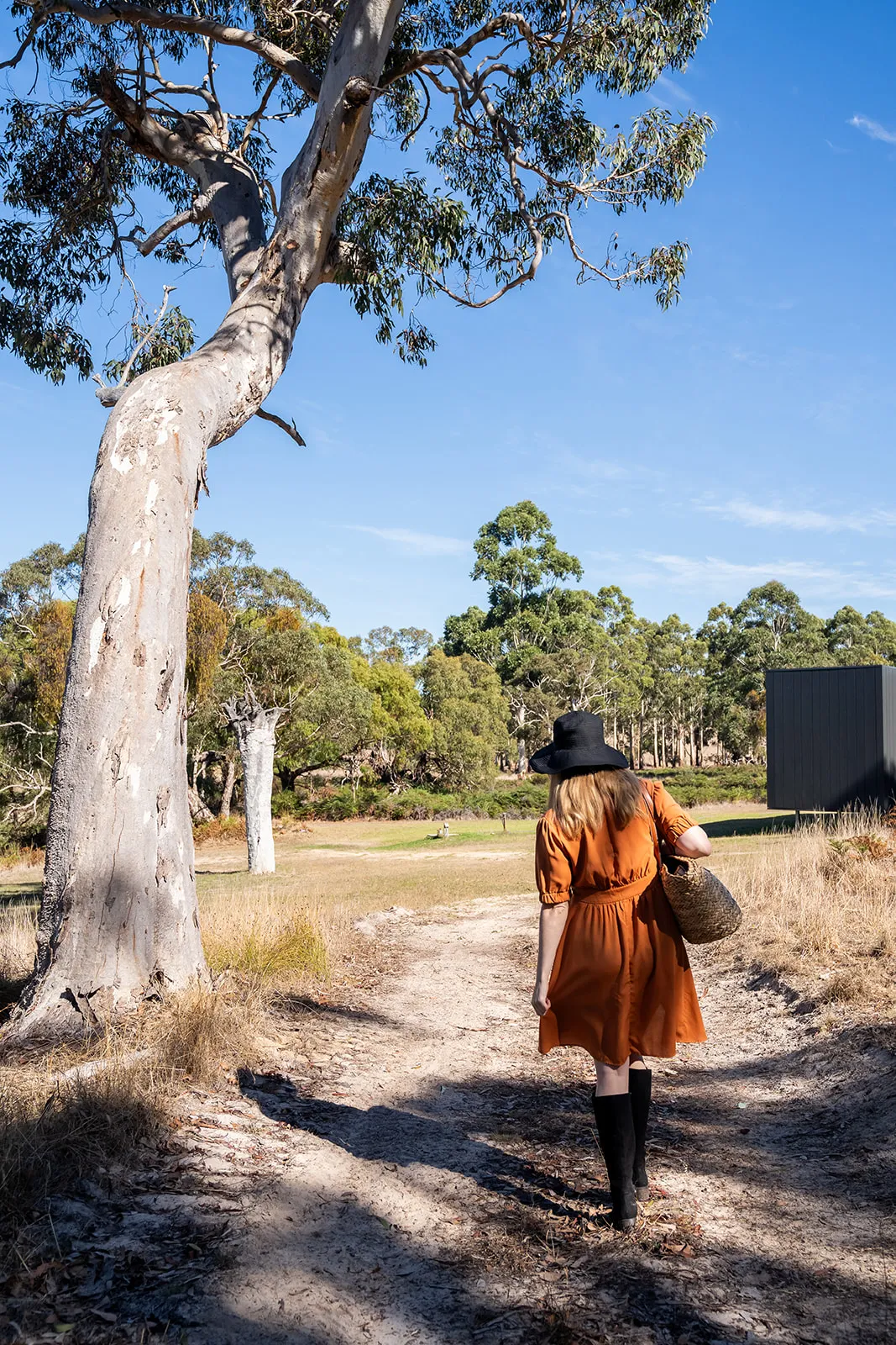 A figure in orange beneath a sculptural tree at a Fleurieu hill-country property