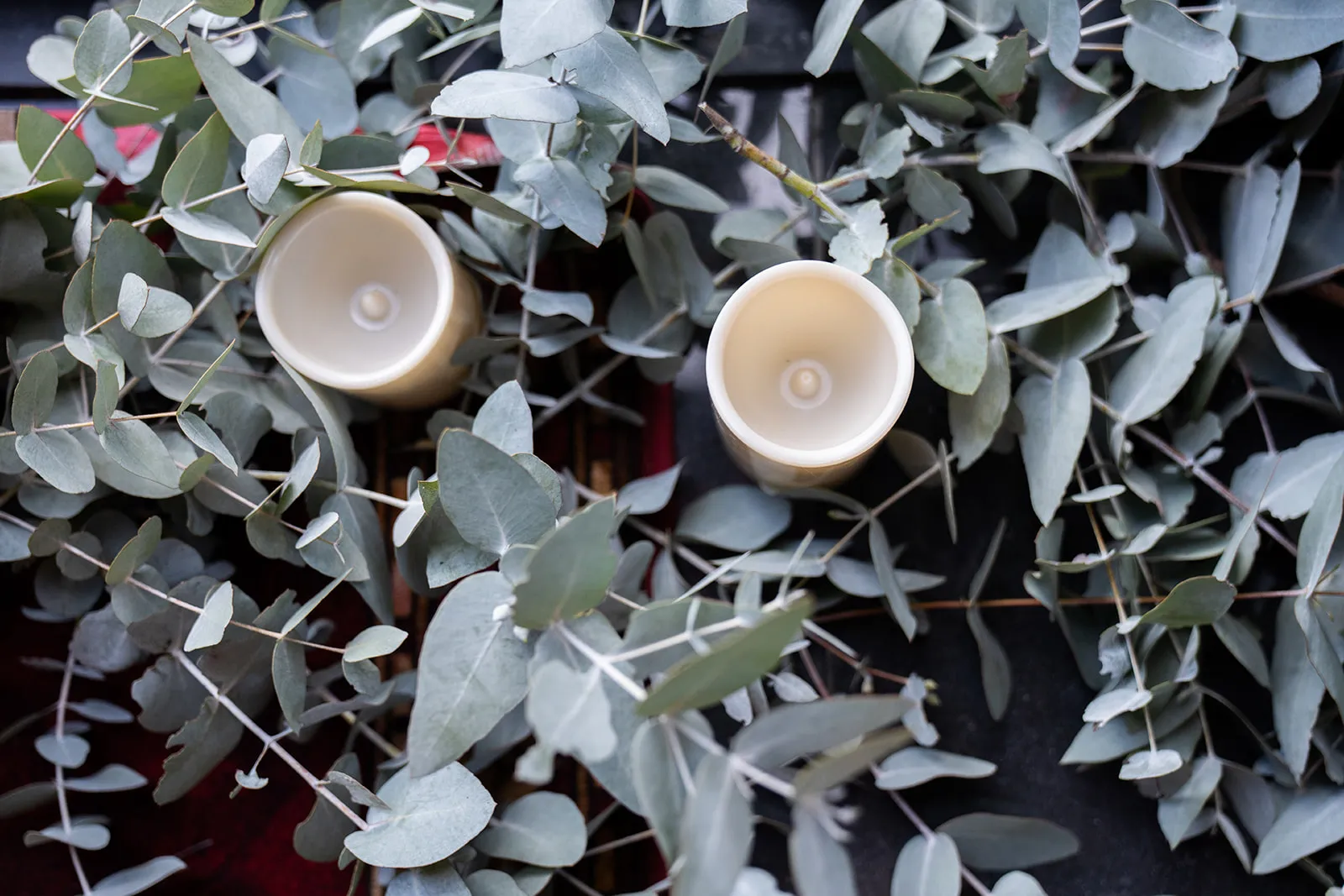 Overhead detail of the wedding rings resting on foliage