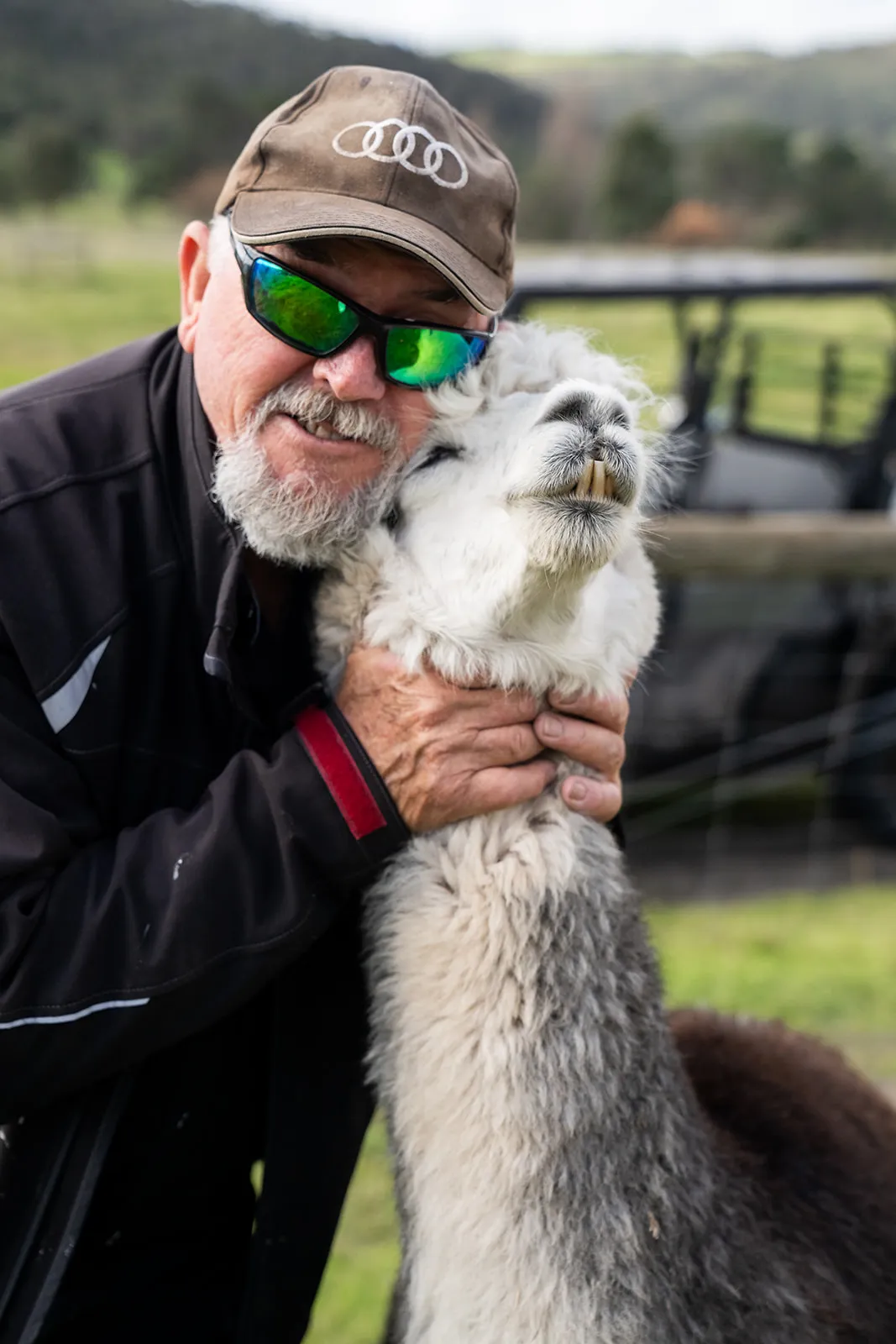 A guest sharing an affectionate moment with an alpaca