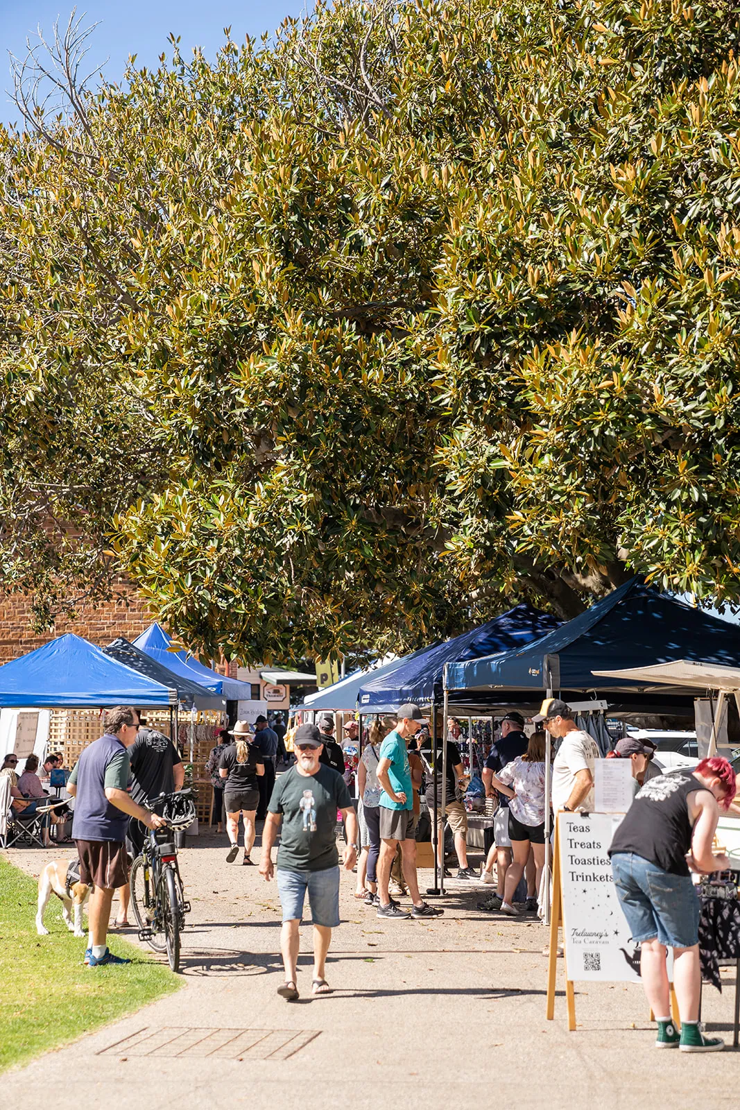 Wide establishing view of the outdoor artisan market