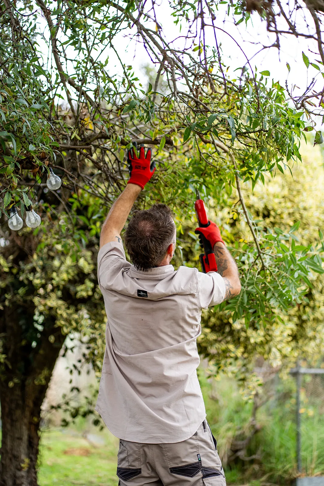 Pruning at work with strong depth and a natural working posture