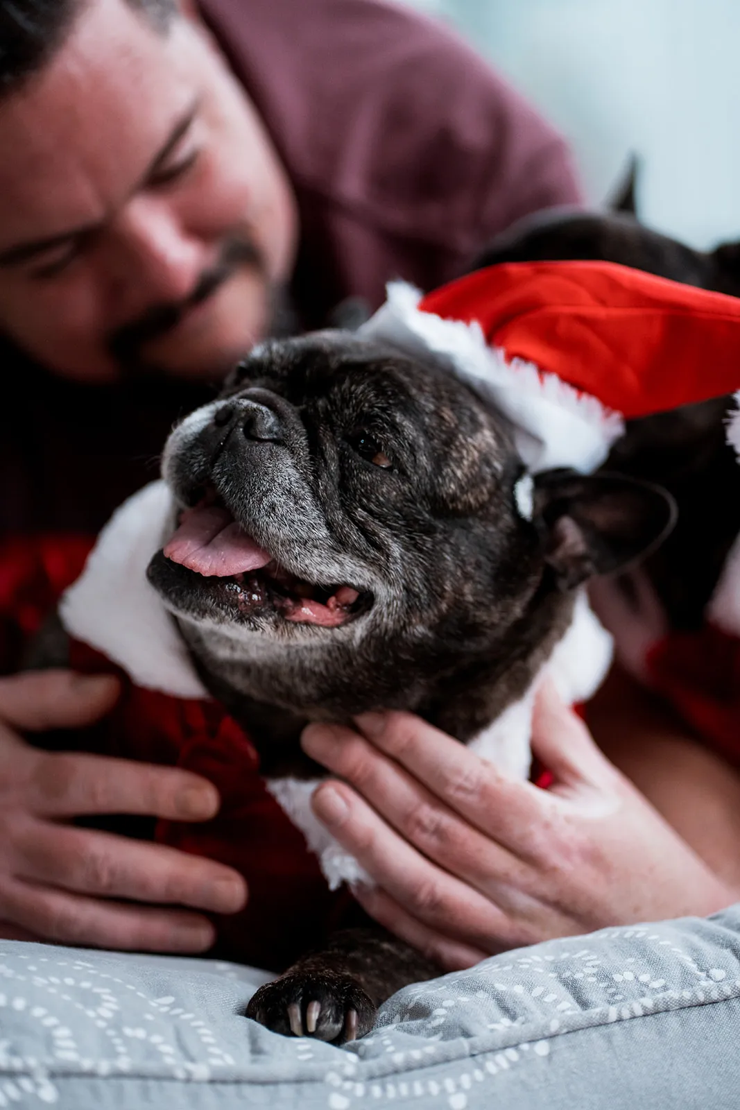 Affectionate Christmas cuddle between dog and owner