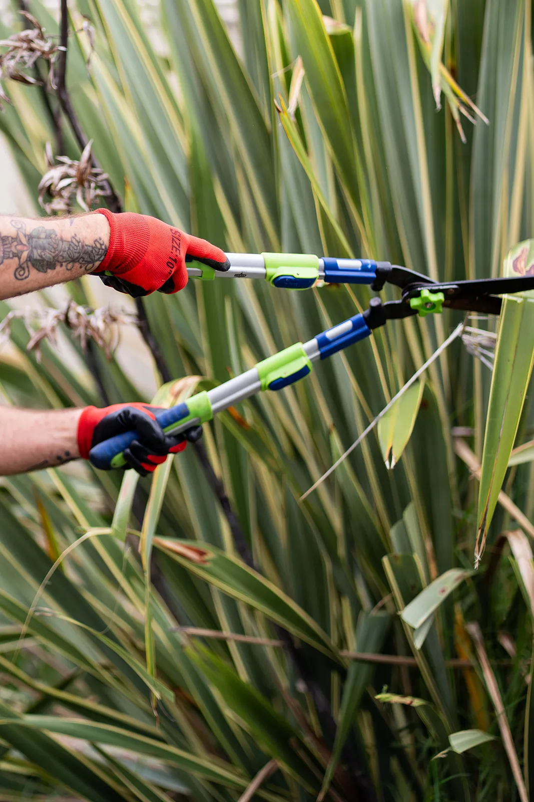 Close detail of gloved hands and garden tools