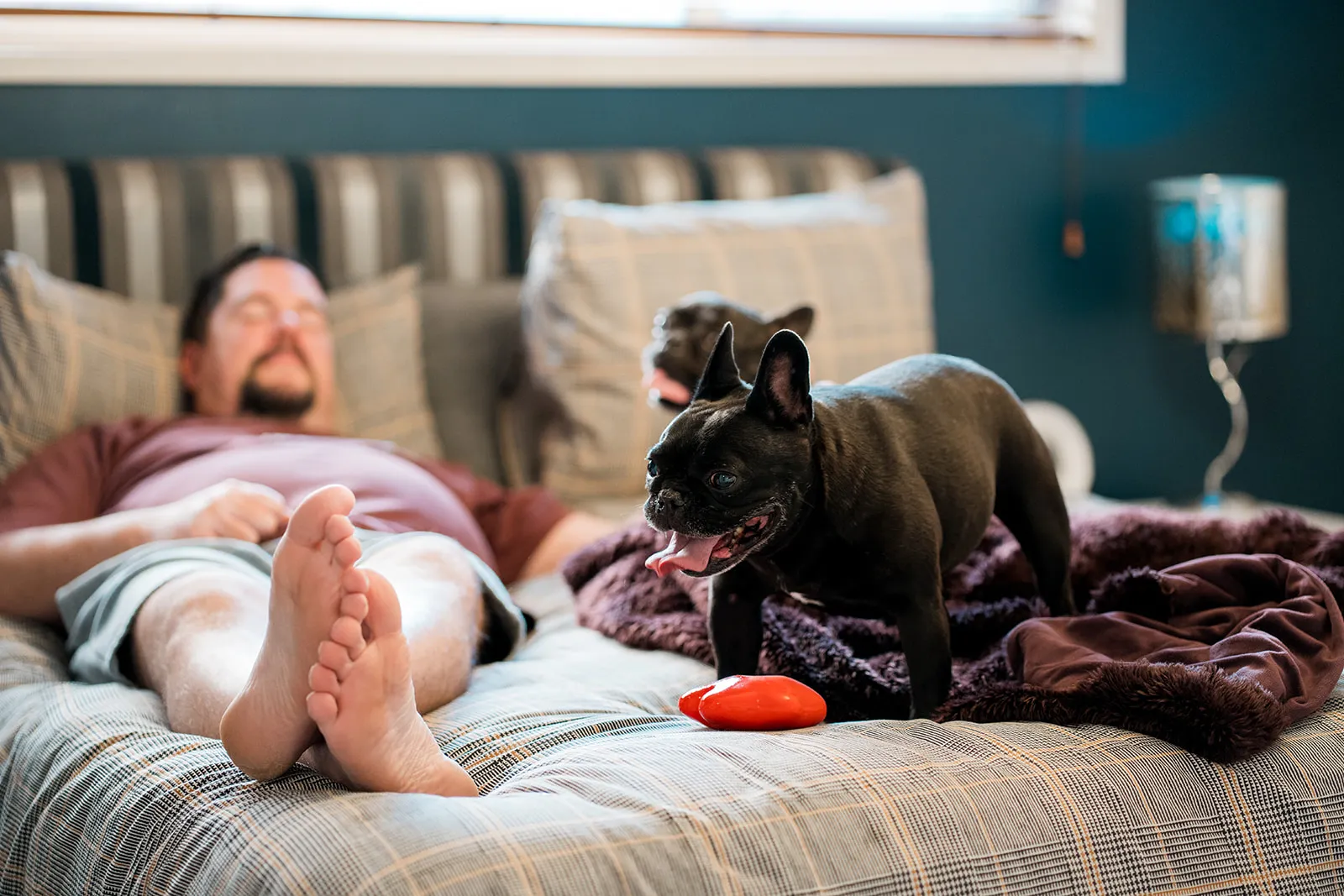 Dog and owner resting together