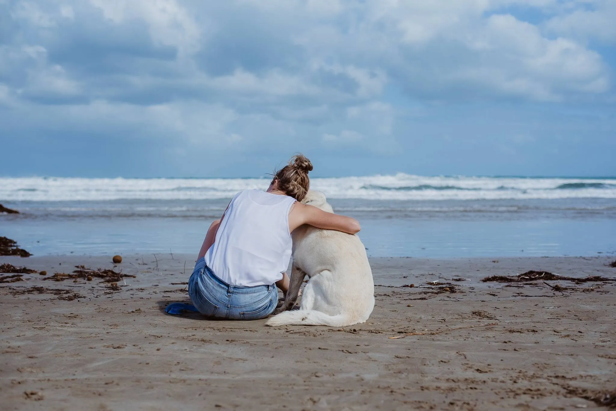Animal photograph by Amy Parkes