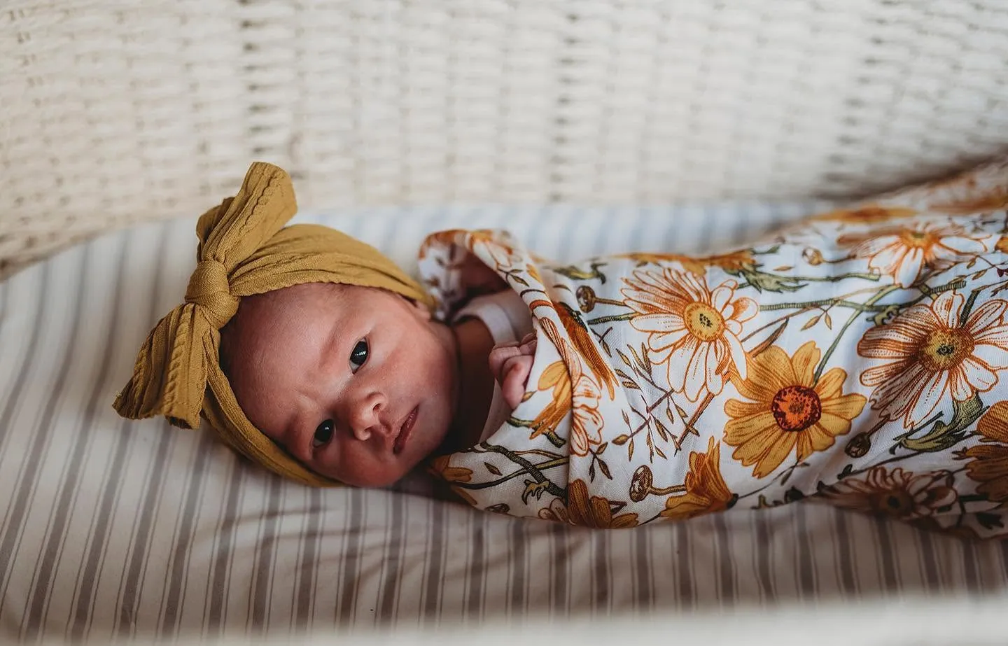 Newborn photograph by Amy Parkes